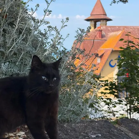 فيلة Ecrin De Charme