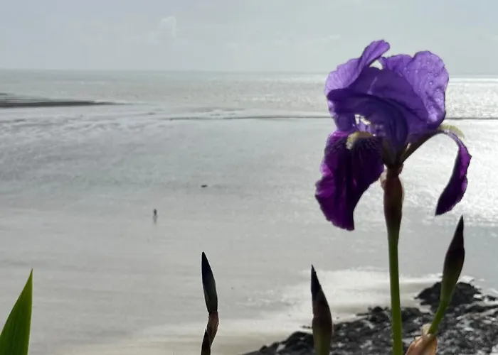 Ecrin De Charme 4 Etoiles Jacuzzi Prive 2 Pers * Granville