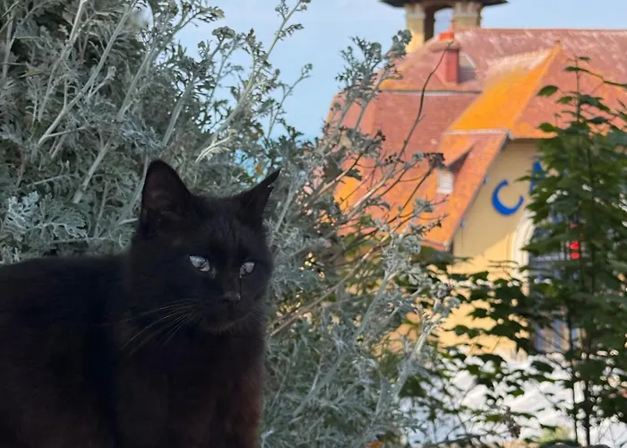 Villa Ecrin De Charme 4 Etoiles Jacuzzi Prive 2 Pers